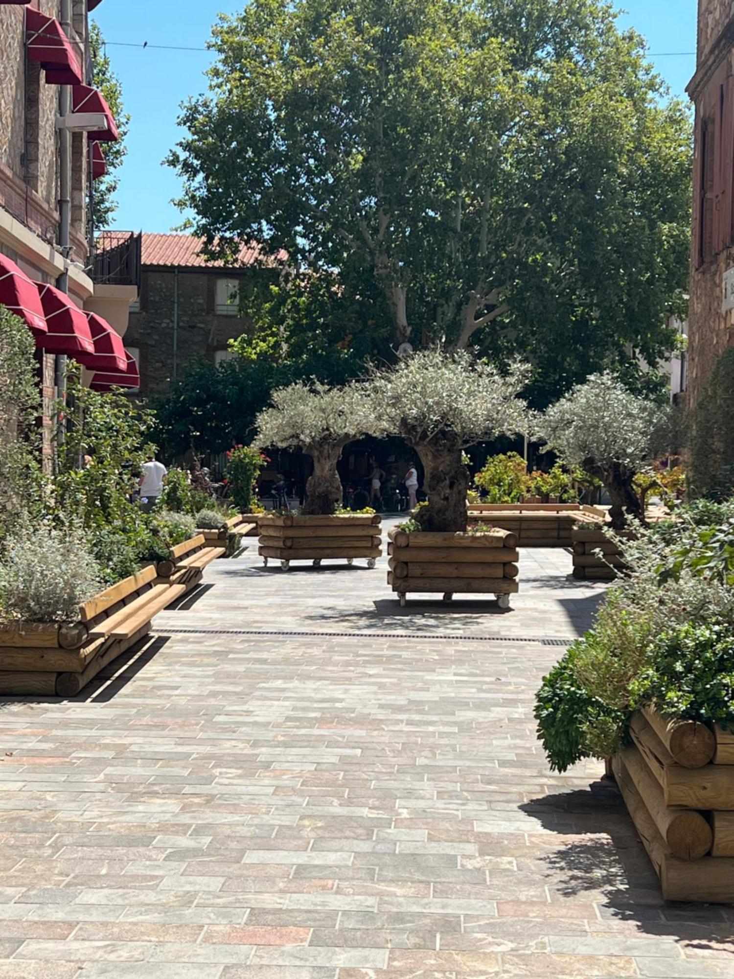 Petit Nid Catalan , 10 Minutes Des Plages Perpignan Exterior foto